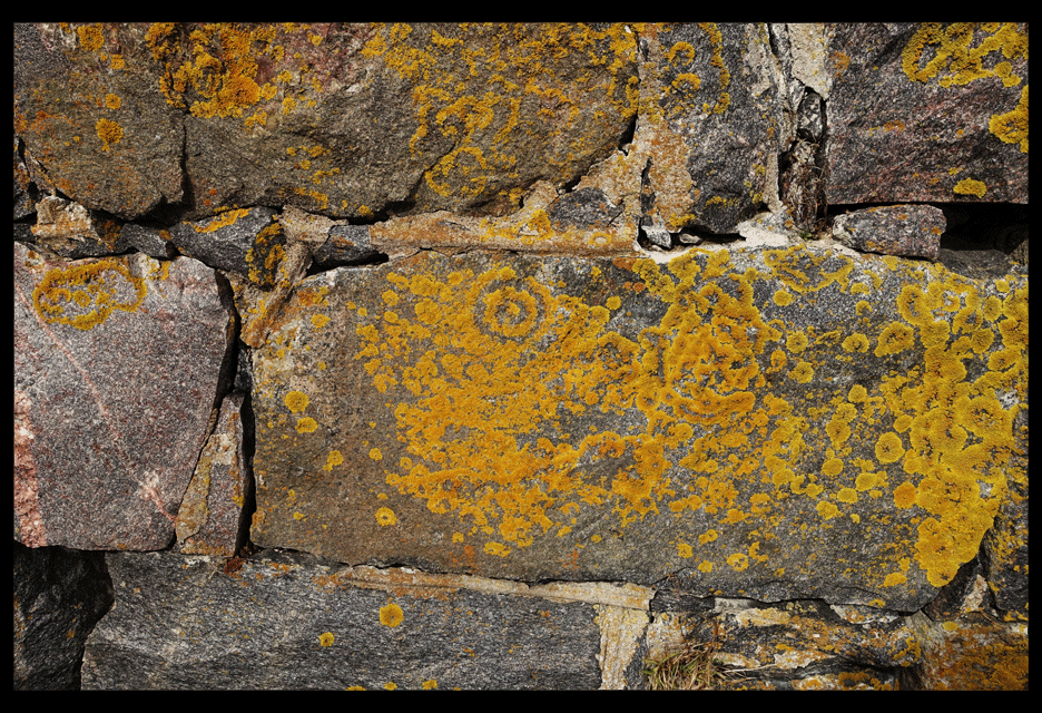 Suomenlinna
