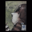 jerome2