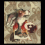 lapin