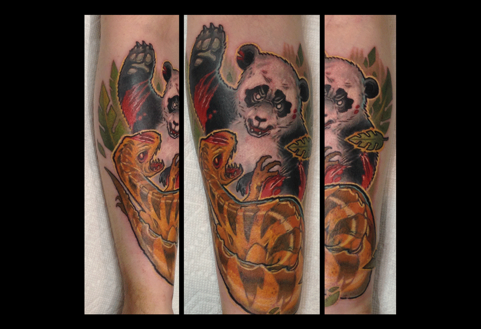 pandavsraptor