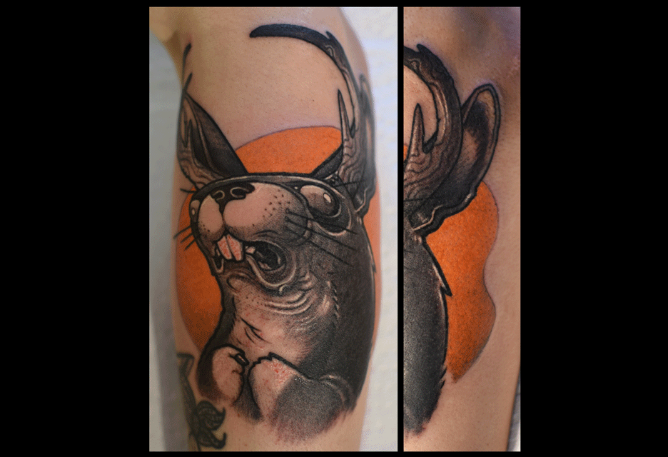 Jackalope1