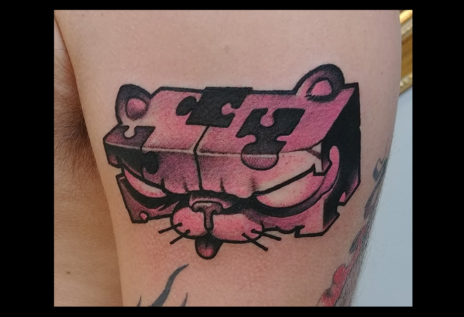 Puzzle cat
